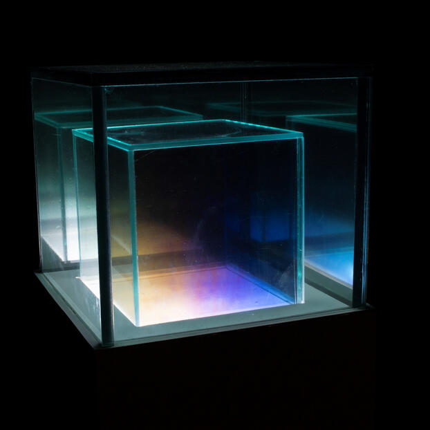 Polarized Light Works 2